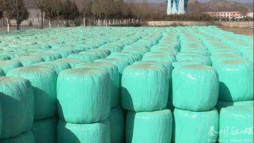 秦州多措并舉保障畜牧養(yǎng)殖場安全越冬 備足飼料、加固圈舍、穩(wěn)供銷售